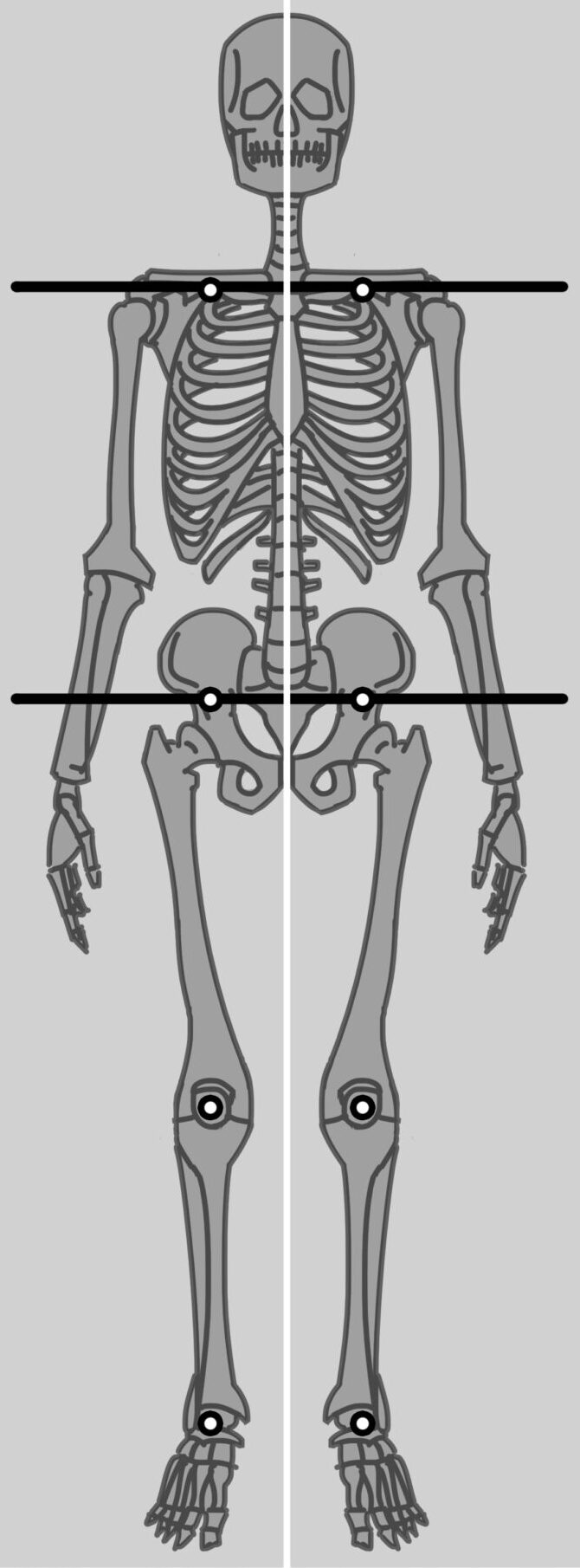 6.13idealFrontPosture